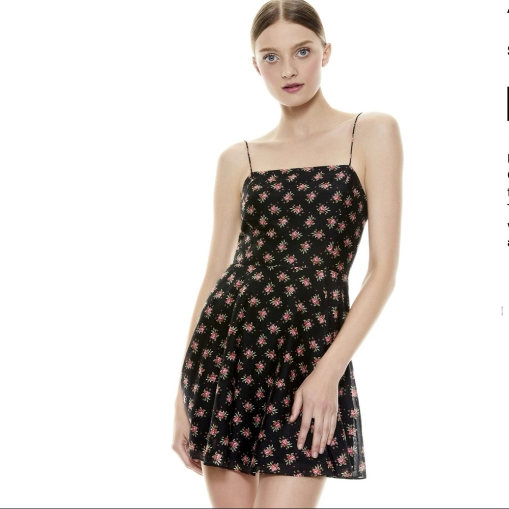 Alice + Olivia Floral mini dress
